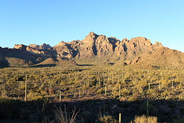 Mount Ajo from the desert floor near sunset