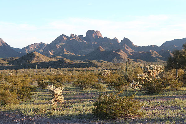 A late afternoon view of Kino Peak from the north