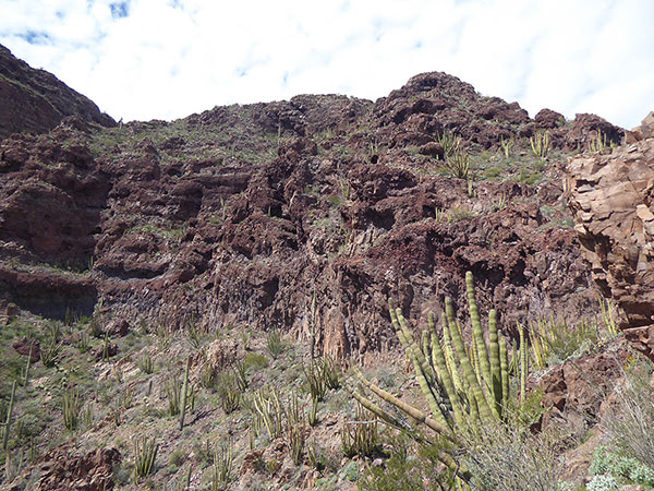 Rather than climb to the ridge above an alternative is to traverse left above these cliffs