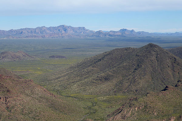 Mount Ajo (near center) and Diaz Peak (on the rigth) from Kino Peak