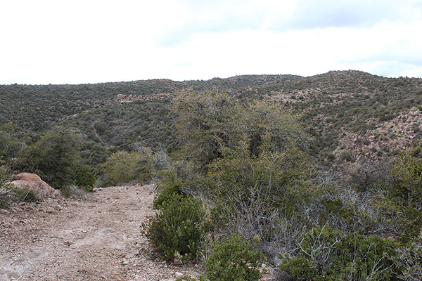 The road steeply descends into a canyon, then climbs to a high saddle