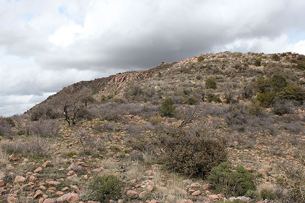 The slope leads up towards the summit of Webster Mountain