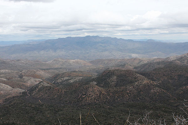 Apache Peaks, the highpoint of the Blackjack Mountains, to the NE