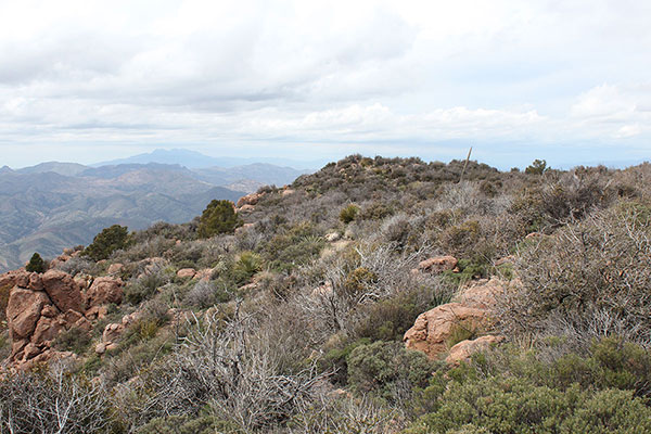 The knoll ahead contains the WEBSTER benchmark; Browns Peak is to the left