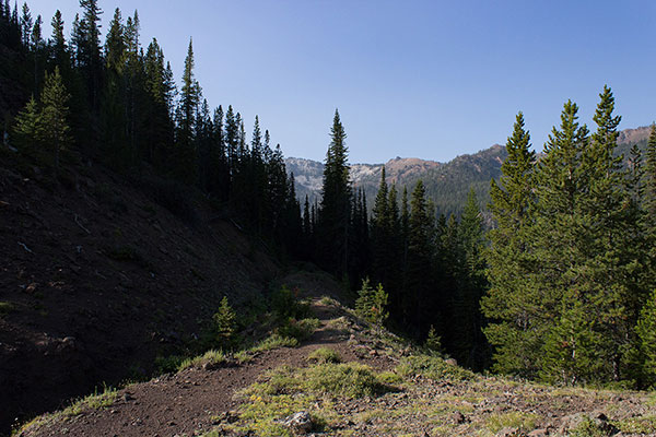 I followed the Silver Creek Ditch south from Murray Saddle to avoid the steep north ridge.