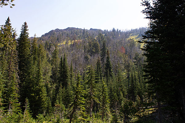 Ruby Peak appears from a forest opening in the Silver Creek Basin