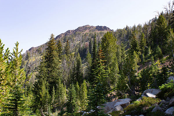 Ruby Peak from higher in the Silver Creek Basin