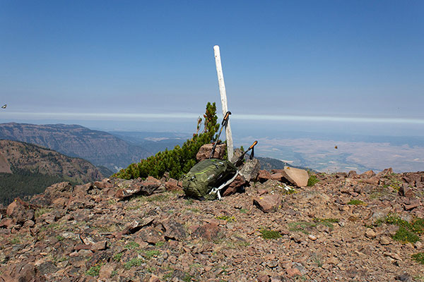The Ruby Peak summit with many flying ants and butterflies