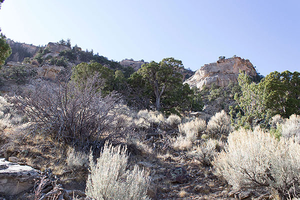 The Yazzie trail climbs left, then right, between cliffs towards the plateau above