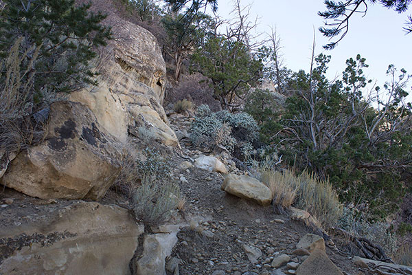 Higher, the rocky trail climbs steeply up a buttress