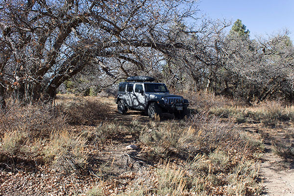 My parking spot 13.2 miles from the highway; this would have made a nice campsite