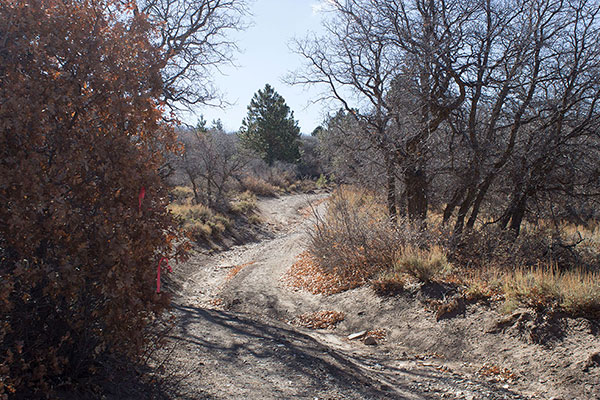 I followed this road on foot towards Pastora Peak