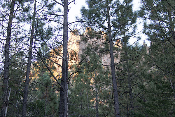 A morning view of Roof Butte cliffs above my primitive forest campsite