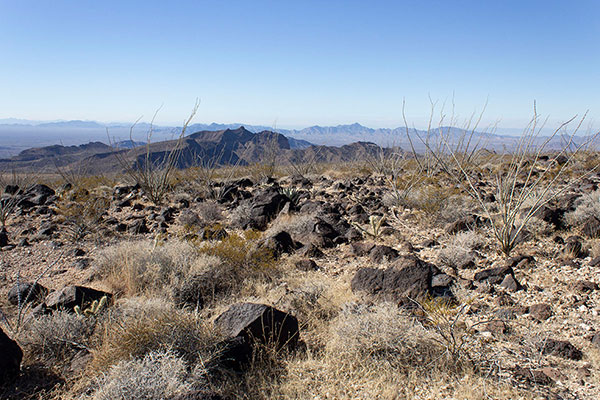 Dripping Springs Benchmark and distant Cunningham Mountain to the west