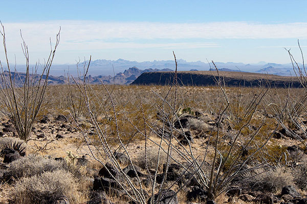 The Eagletail Mountains to the east