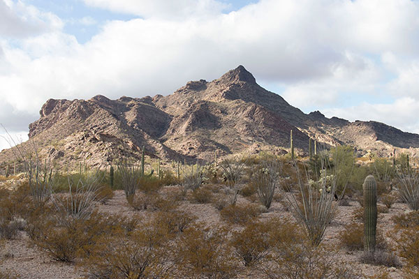 An afternoon view of Pinkley Peak from the Puerto Blanco Drive