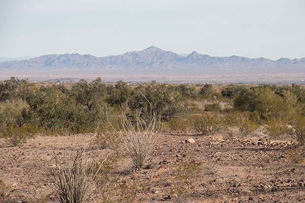 As I drive towards Bouse, Arizona, I identify Planet Peak rising above the Cactus Plain far to the north