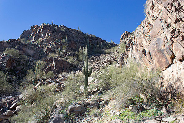 Climbing the NE Gully, we stay to the right where the slope seemed more stable.