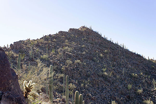 From the notch we traverse left, then climb the ridge just right of its crest