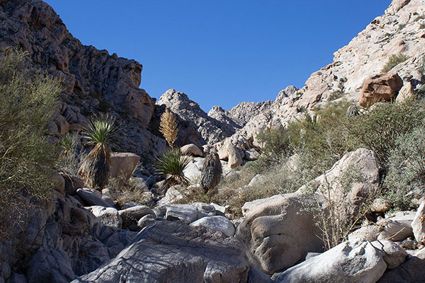 As we climb higher up the canyon floor some peaks appear high above us