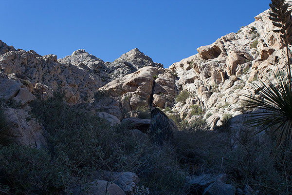 Just above here is a full tinaja. I climbed the face in the center; Michael climbed a narrow ledge to the left.