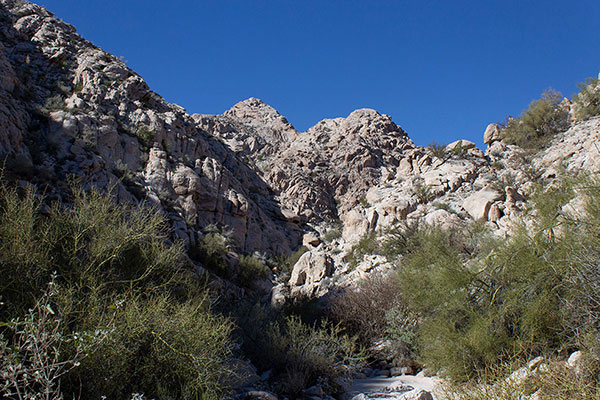 Shortly ahead we turned right up a tributary canyon