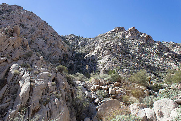 From the tributary canyon floor we climbed up this gully to the ridge high above