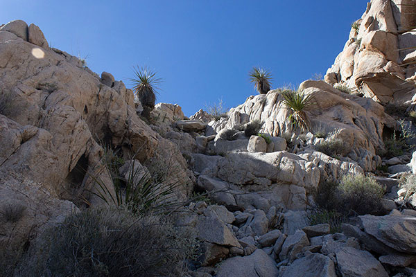 We approach the notch high in the steep gully