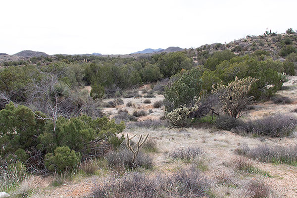 Distant Arrastra Mountain is barely in view from US Highway 93