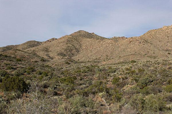 The east slopes and ridge of Arrastra Mountain lead to the false summit