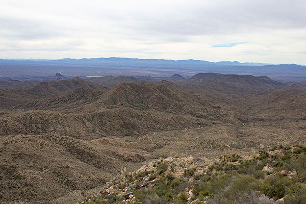 The Harcuvar Mountains stretch across the horizon to the south