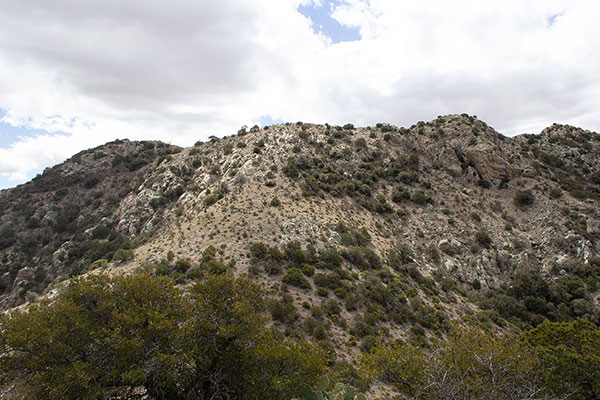 The Bowie Mountain summit ridge from high on the north ridge