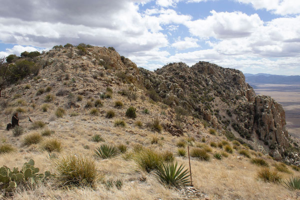 The view south along the summit ridge