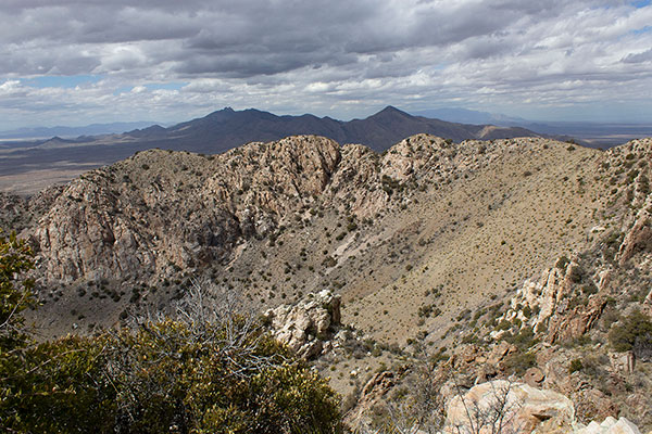The Dos Cabezas Mountains to the northwest from the Bowie Mountain summit