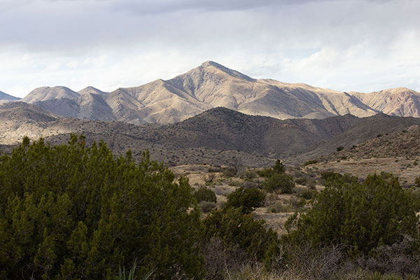 Government Peak from low on Bowie Mountain