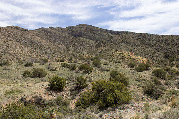 The West Face of Dunn Springs Mountain in late morning partial eclipse daylight