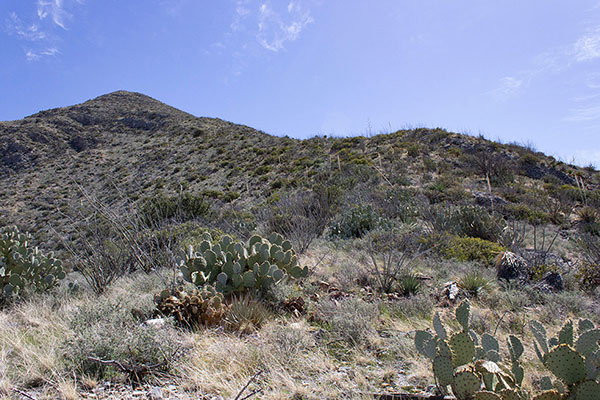 Looking up the West Ridge