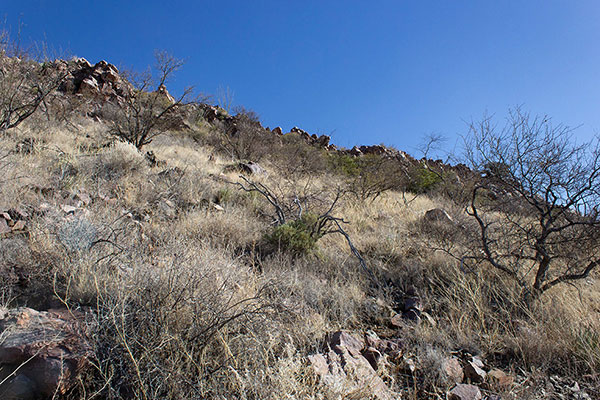 High on the steep slope I approach the low cliffs above