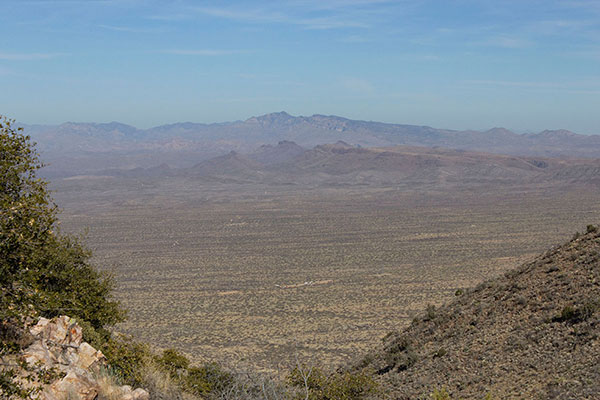 Bassett Peak in the Galiuro Mountains to the north