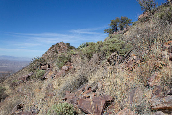 Looking back to the Johnny Lyon Hills Highpoint as I descend the SW Slope