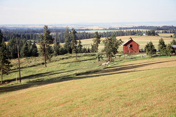 Countryside south of Deary, Idaho