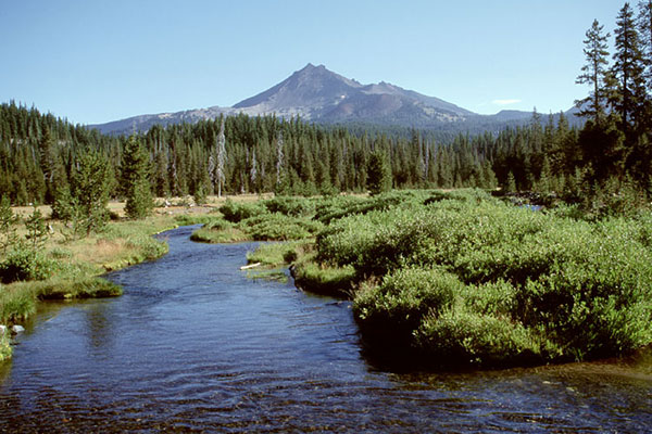 Fall Creek and Broken Top