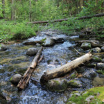 Antone Creek in the Elkhorn Mountains